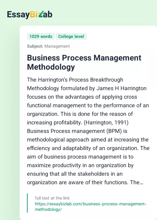 Business Process Management Methodology - Essay Preview