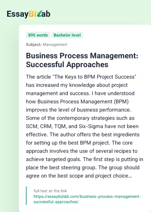 Business Process Management: Successful Approaches - Essay Preview