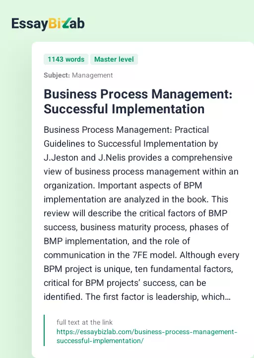 Business Process Management: Successful Implementation - Essay Preview