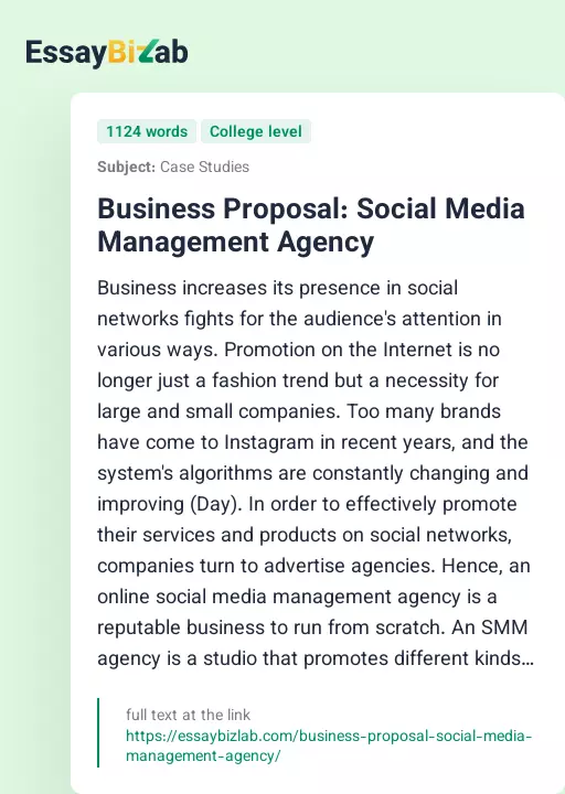 Business Proposal: Social Media Management Agency - Essay Preview