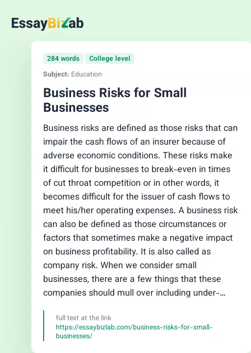 Business Risks for Small Businesses - Essay Preview