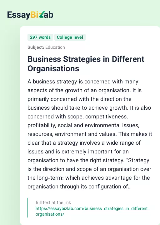 Business Strategies in Different Organisations - Essay Preview
