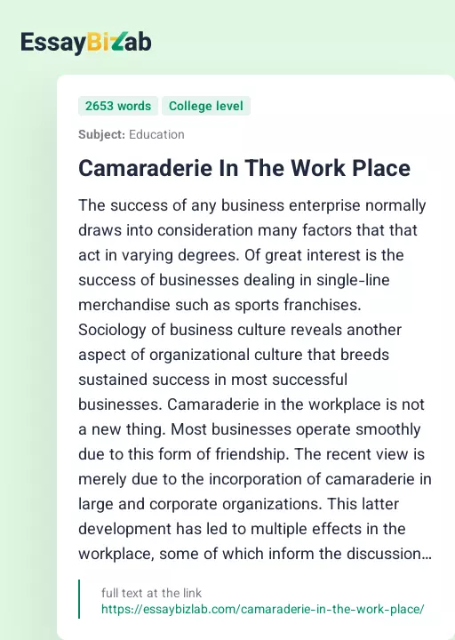 Camaraderie In The Work Place - Essay Preview
