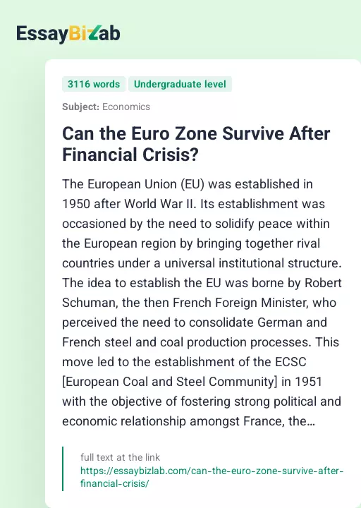 Can the Euro Zone Survive After Financial Crisis? - Essay Preview