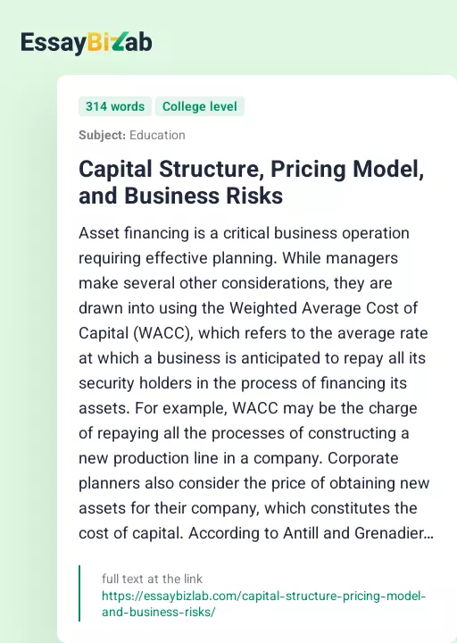 Capital Structure, Pricing Model, and Business Risks - Essay Preview