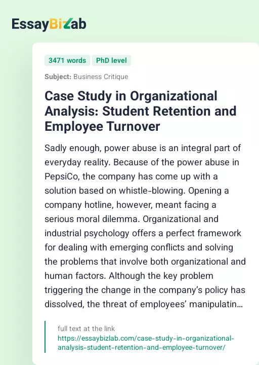 Case Study in Organizational Analysis: Student Retention and Employee Turnover - Essay Preview