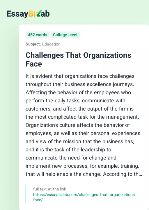 Challenges That Organizations Face - Essay Preview