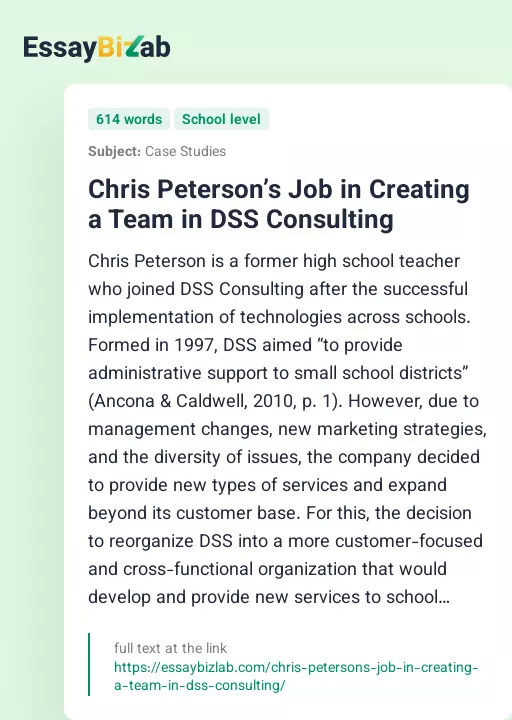 Chris Peterson’s Job in Creating a Team in DSS Consulting - Essay Preview