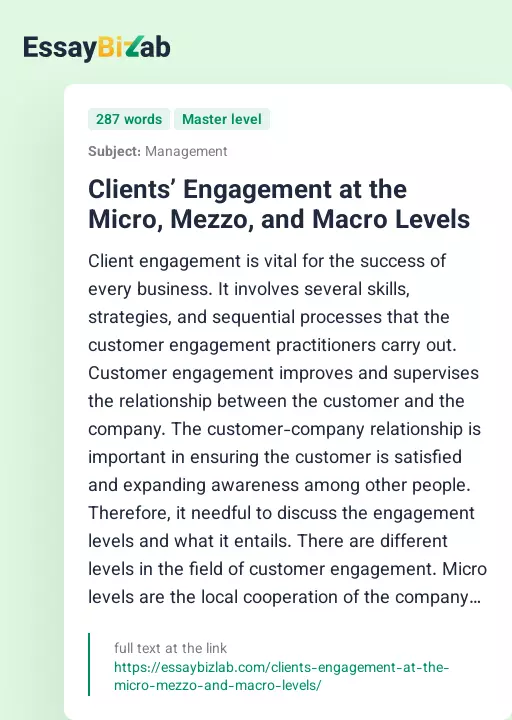 Clients’ Engagement at the Micro, Mezzo, and Macro Levels - Essay Preview