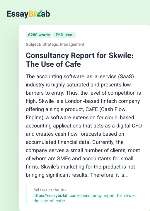 Consultancy Report for Skwile: The Use of Cafe - Essay Preview