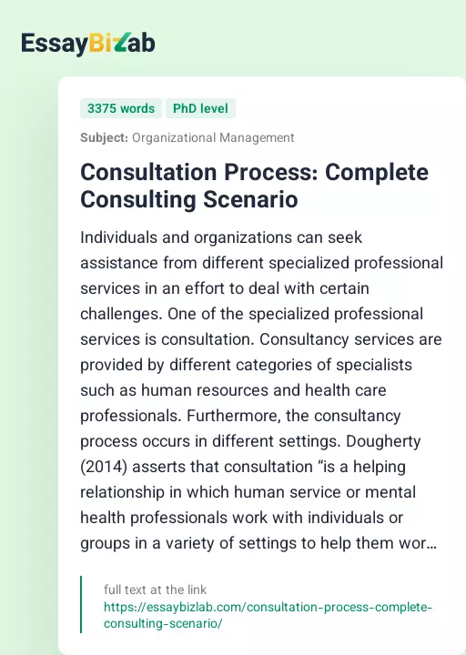 Consultation Process: Complete Consulting Scenario - Essay Preview