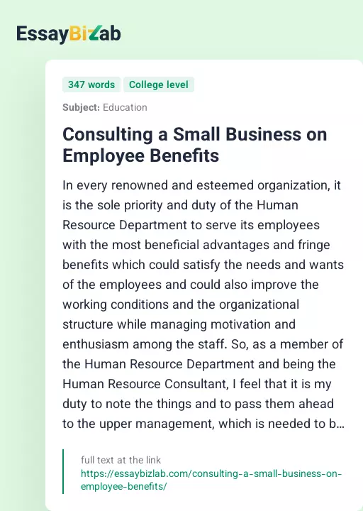 Consulting a Small Business on Employee Benefits - Essay Preview