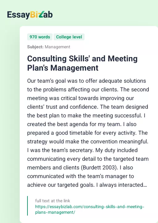 Consulting Skills' and Meeting Plan's Management - Essay Preview