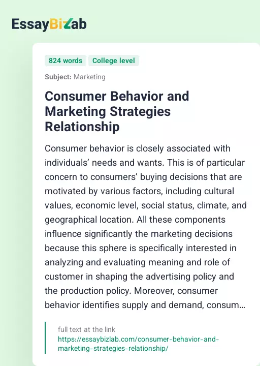 Consumer Behavior and Marketing Strategies Relationship - Essay Preview