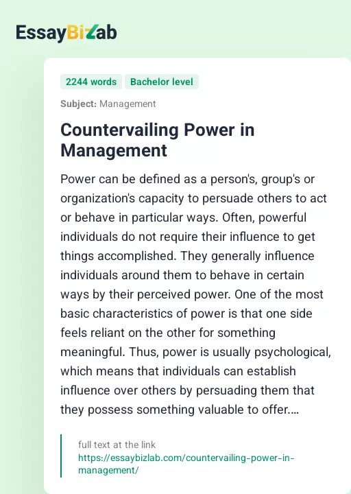Countervailing Power in Management - Essay Preview