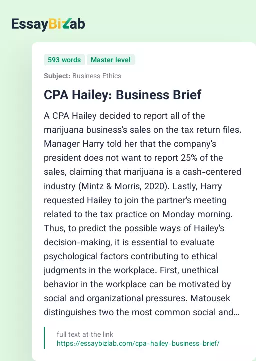 CPA Hailey: Business Brief - Essay Preview
