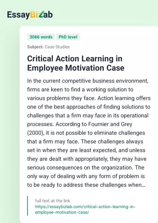 Critical Action Learning in Employee Motivation Case - Essay Preview