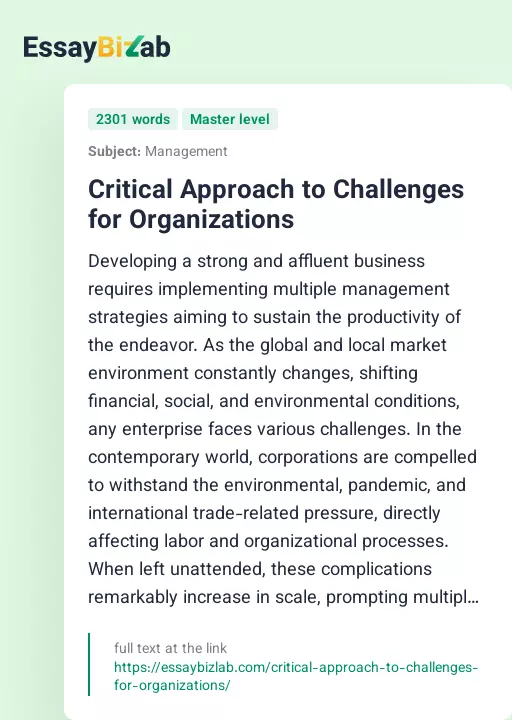 Critical Approach to Challenges for Organizations - Essay Preview