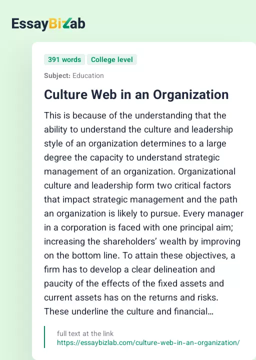 Culture Web in an Organization - Essay Preview