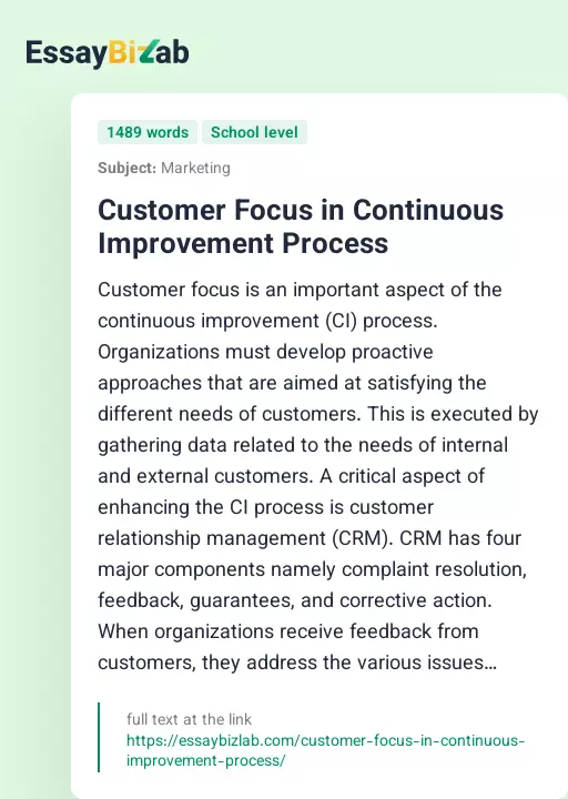 Customer Focus in Continuous Improvement Process - Essay Preview