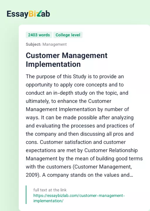 Customer Management Implementation - Essay Preview