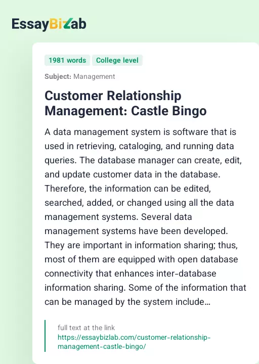 Customer Relationship Management: Castle Bingo - Essay Preview