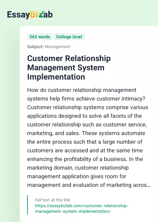 Customer Relationship Management System Implementation - Essay Preview