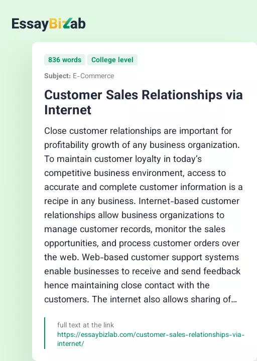 Customer Sales Relationships via Internet - Essay Preview