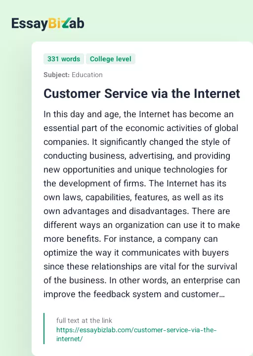 Customer Service via the Internet - Essay Preview