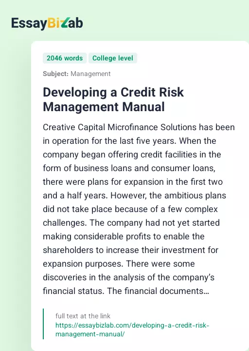 Developing a Credit Risk Management Manual - Essay Preview