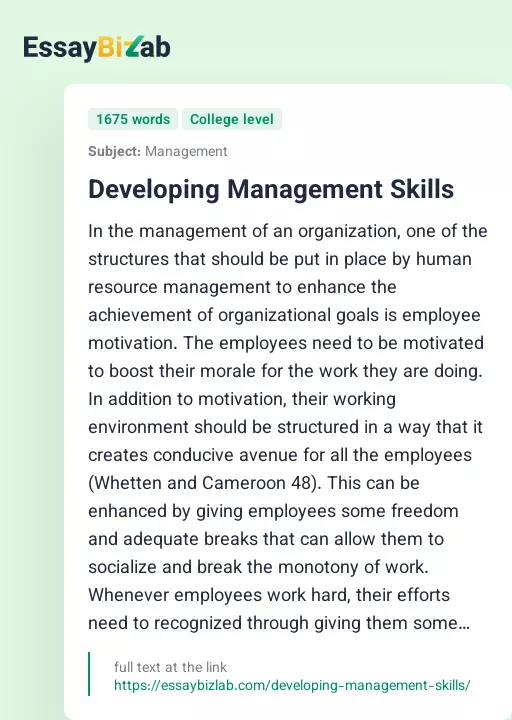 Developing Management Skills - Essay Preview