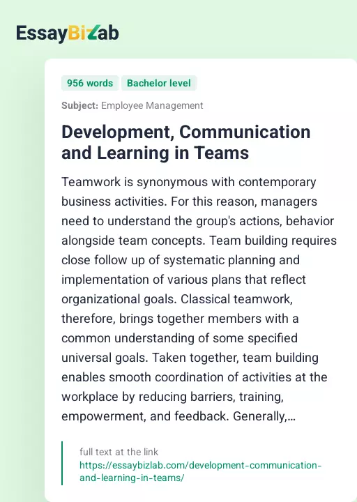 Development, Communication and Learning in Teams - Essay Preview
