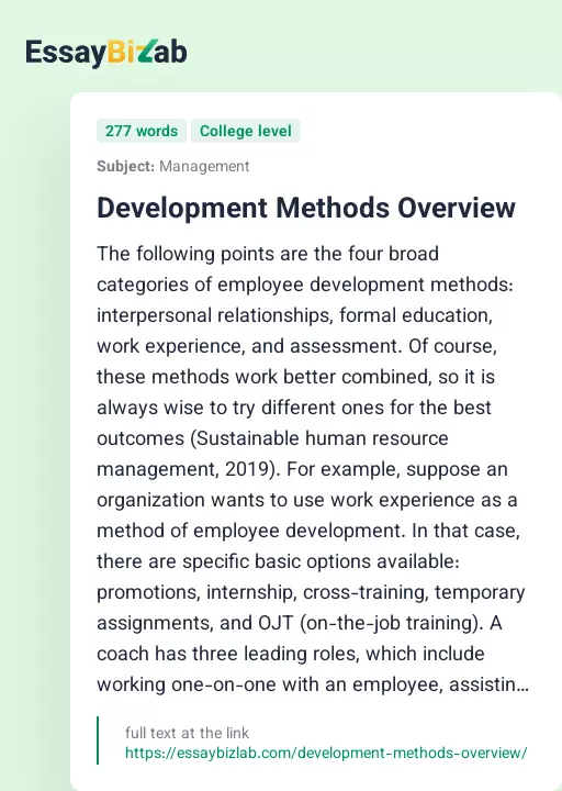 Development Methods Overview - Essay Preview