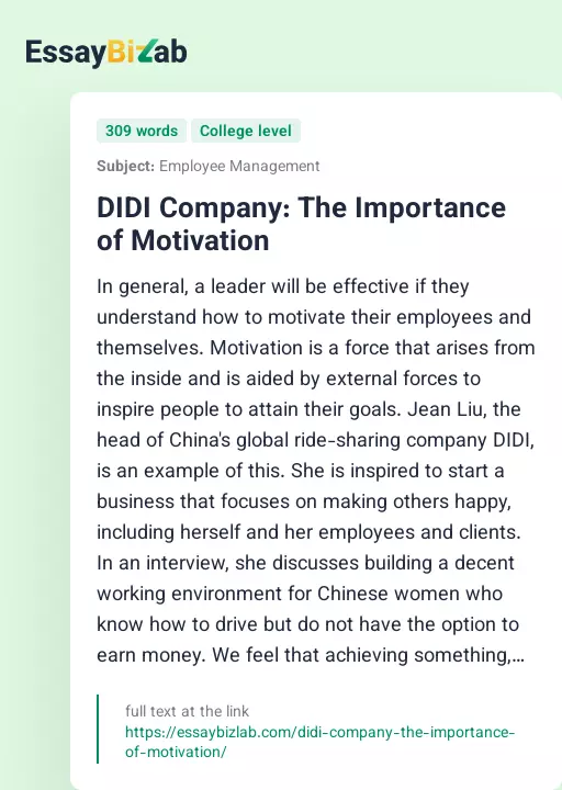 DIDI Company: The Importance of Motivation - Essay Preview