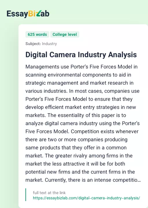 Digital Camera Industry Analysis - Essay Preview