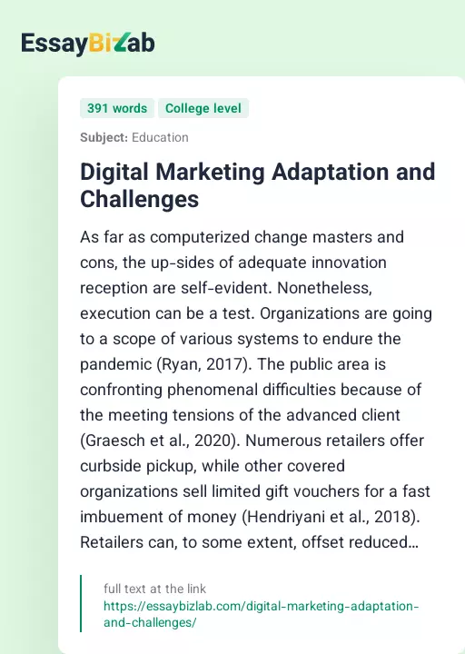 Digital Marketing Adaptation and Challenges - Essay Preview