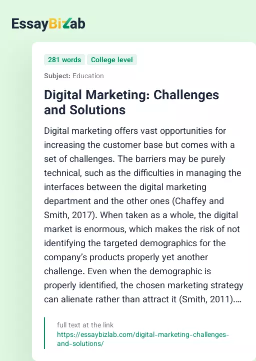 Digital Marketing: Challenges and Solutions - Essay Preview