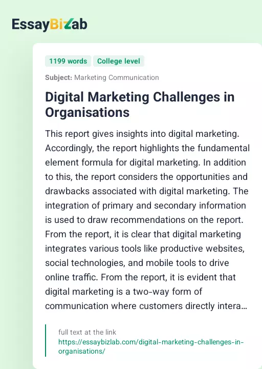 Digital Marketing Challenges in Organisations - Essay Preview