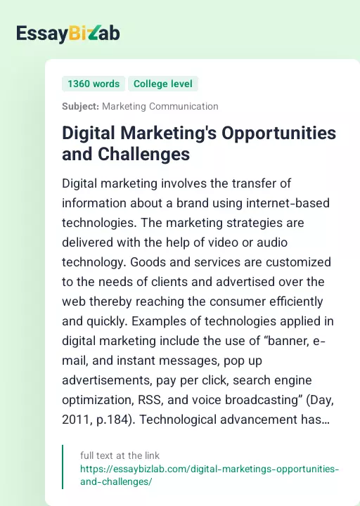 Digital Marketing's Opportunities and Challenges - Essay Preview