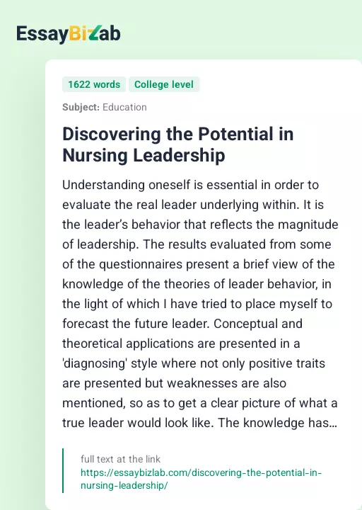 Discovering the Potential in Nursing Leadership - Essay Preview