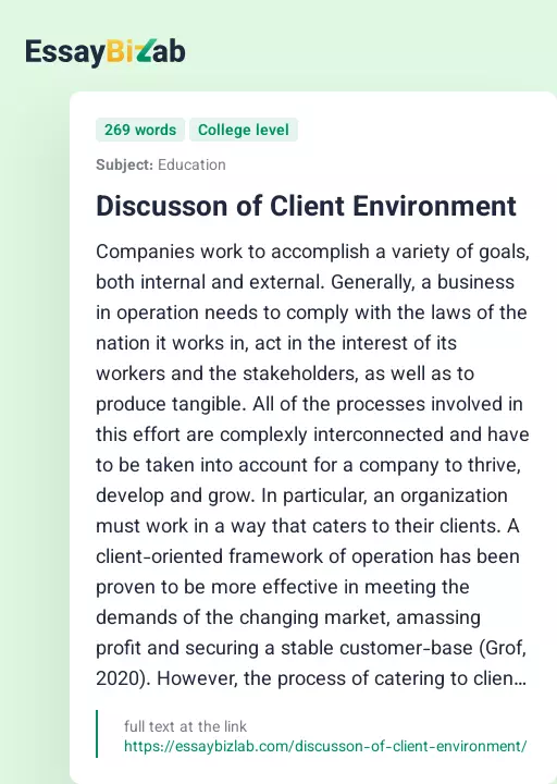 Discusson of Client Environment - Essay Preview