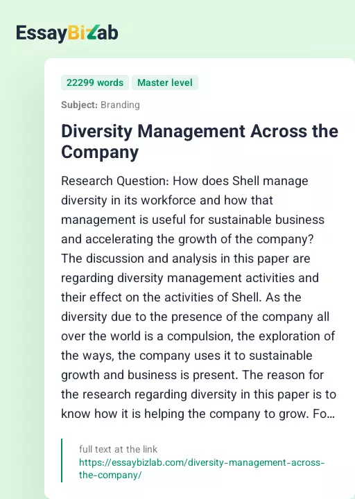 Diversity Management Across the Company - Essay Preview