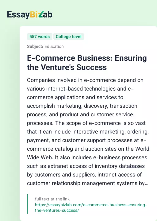 E-Commerce Business: Ensuring the Venture's Success - Essay Preview