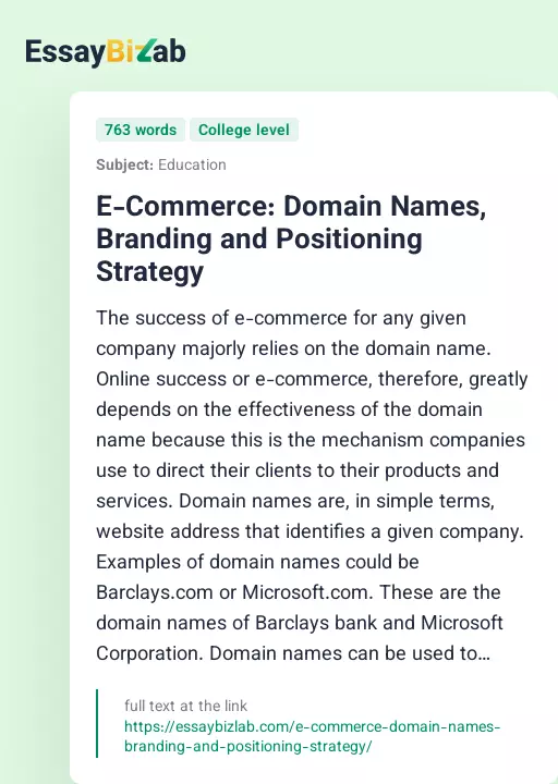 E-Commerce: Domain Names, Branding and Positioning Strategy - Essay Preview