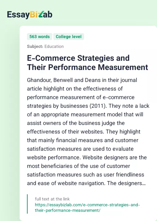 E-Commerce Strategies and Their Performance Measurement - Essay Preview