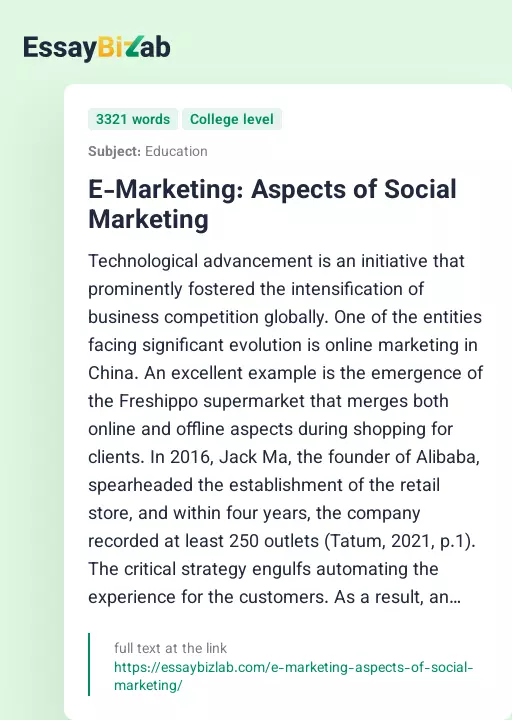 E-Marketing: Aspects of Social Marketing - Essay Preview