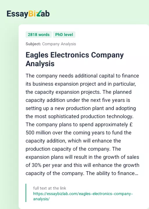 Eagles Electronics Company Analysis - Essay Preview