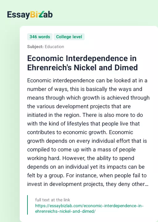 Economic Interdependence in Ehrenreich's Nickel and Dimed - Essay Preview