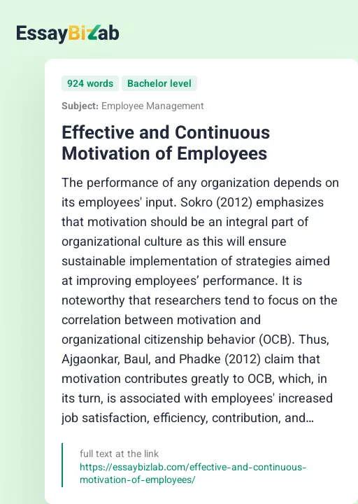 Effective and Continuous Motivation of Employees - Essay Preview