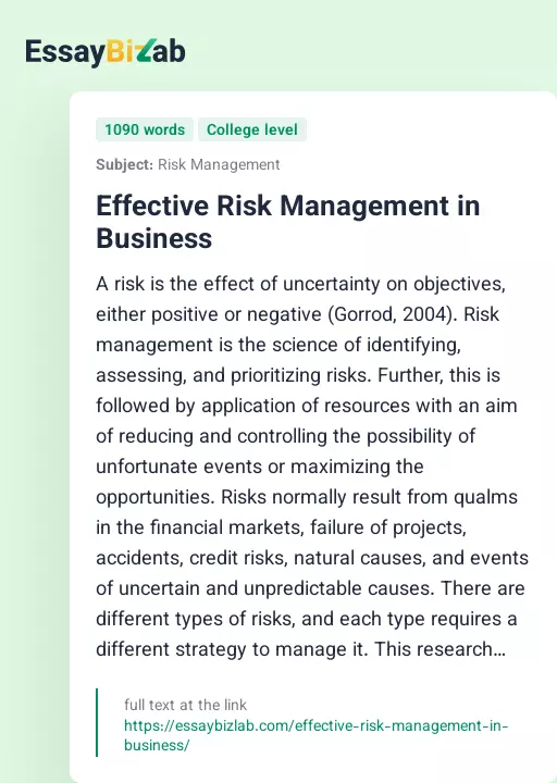 Effective Risk Management in Business - Essay Preview